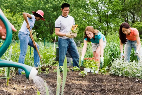 Civic Responsibilities of Teens: Walking the Talk!