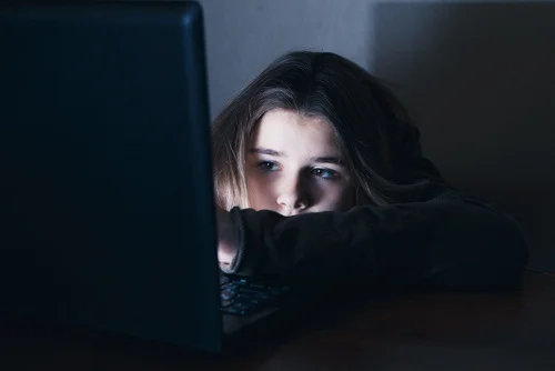 What Sort of Online Dangers are Teens Exposed to On the Web?